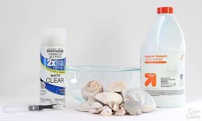 Maybe you would like to learn more about one of these? How To Clean Seashells The Right Way Decor By The Seashore