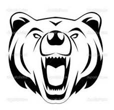Fierce Bear Face Grapgic Boz Ayi Hayvanlar Ayi