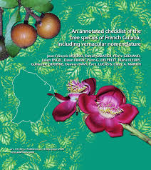 Image result for Malouetia mildbraedii