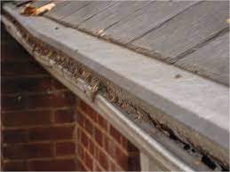 Содержание is leaf filter expensive? I Just Got Leaf Filter Gutter Guards Steel Mesh 2 Months Ago Now That It S Fall There Are Leaves Piled Up On Top Stuck With Rain Etc What To Do