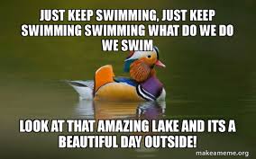 Funny sports memes and jokes! Just Keep Swimming Just Keep Swimming Swimming What Do We Do We Swim Look At That Amazing Lake And Its A Beautiful Day Outside Fashionable Advice Mallard Make A Meme