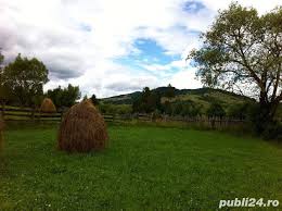 Situat în localitatea mănăstirea humorului, în apropierea pârâului chilia, la 60 hotelul floare de colt dispune de: Vand Teren Intravilan 6760 0 Mp Front Stradal 80 00 Manastirea Humorului Suceava Publi24
