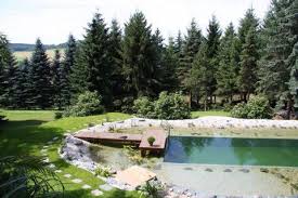 Schwimmteich Im Erzgebirge Mielke S Naturbadeteich Schwimmteich Teich Schwimmen