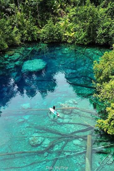 Wisata