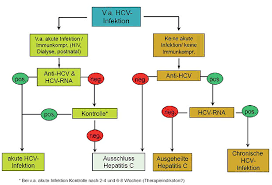 Read about symptoms, diagnosis, treatment. Hepatitis More Hepatitis C Diagnostik