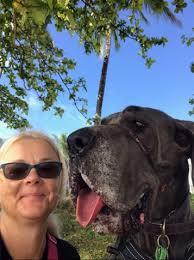 Pet sitting and dog walking services available