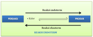 Check spelling or type a new query. 7 Soal Dan Jawaban Ipa Interaksi Makhluk Hidup Dengan Lingkungan Kelas 7 Kurikulum 2013 Materi Kimia