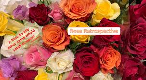 A rose by any other name. Rose Retrospective A Rose By Any Other Name Bpi The Destination For Everything Process Related