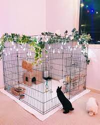 If you decide to take on this project i highly recommend you download the printable pdf below to have with you during the build. Pin On Family Pet