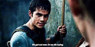 We won't share this comment without your permission. The Maze Runner The Maze Runner 1 By James Dashner