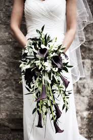 Victoria clausen floral events used a variety of sizes to create this. Gallery Modern Long Cascade Bouquet Of White Dendrobium Orchids Dark Purple Calla Lilies Deer Pearl Flowers