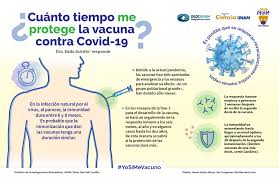 México tiene convenios con las farmacéuticas: Cuanto Tiempo Protegen Las Vacunas Contra La Covid 19