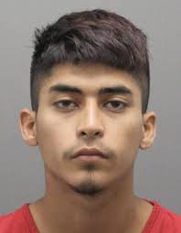 Leesburg shooting suspect gets 1 year in plea deal after evidence not  provided to defense