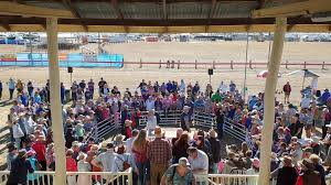 The garma festival of traditional cultures (garma) is australia's largest indigenous cultural gathering, taking place over four days each august in northeast arnhem land, in the northern territory, australia. Tara Festival Of Culture And Camel Races Videos Facebook