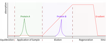 The separation is based on the reversible interaction between a charged protein and an oppositely charged chromatography resin. Protein Purification By Ion Exchange Chromatography Sino Biological