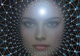 Western's Solar Car UNLIMITED 6.0 Leads Sun Chase