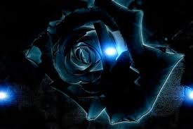 Neon Rose Flowers Wallpaper Id 1331254 Desktop Nexus Nature Wallpaper Blue Roses Rose