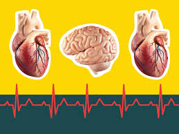 Cardiac Arrest Vs Heart Attack Vs Stroke Signs Symptoms