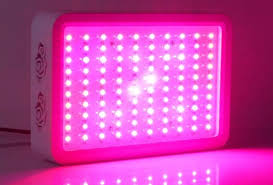 We did not find results for: Should You Be Leaving Grow Lights On 24 Hours A Day