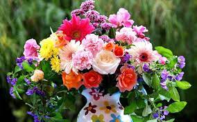 Bellissime fotografie di fiori da scaricare gratis. Immagini Di Bellissimi Mazzi Di Fiori 80 Foto Di Qualita