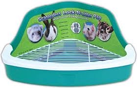 Some of the common ones include the following it is not recommended since it can hurt your bunny's feet and it very uncomfortable. Best Rabbit Litter Box Guide For 2021 Animal Corner