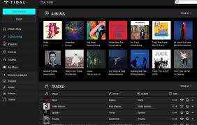 2026년 Tidal Family Plus 할인 혜택, 스마트하게 활용하는 완벽 가이드