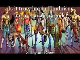 The same analogy you can apply to any animal as well as to a human. Is It True That In Hinduism That Are So Many Gods Article By Sathyam Drew