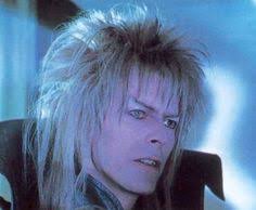 Discover 900+ Obsessed ideas