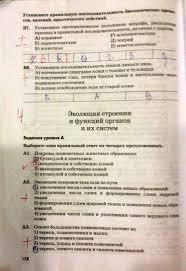 гдз по русскому языку 7 класс разумовская рабочая тетрадь Kontrolno Izmeritelnye Materialy Po Matematike 3 Klass Umk Nachalnaya Shkola 21 Veka Workbook Internet Security Free Youtube
