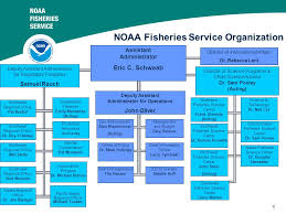 Noaa And The National Marine Fisheries Service Ppt Video