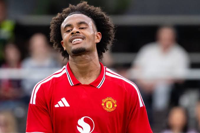 Joshua Zirkzee gives green light for Man United to make signing as he 'says yes' to transfer - Manchester Evening News