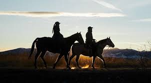 Lucky flowers anti mold sticker nedir / wholesale ariat lucky flowers anti mold sticker for shoes. Ariat Life Ariat