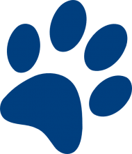 Dog Paw Prints Transparent Png Image With Transparent Background Png Free Png Images Dog Paw Print Paw Print Prints