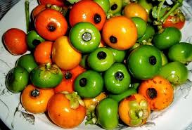 Inilah 21 khasiat manfaat buah pisang yang akan kamu dapat jika rutin mengonsumsi buah pisang. 22 1 2019 Buah Cepu Pejabat Pertanian Daerah Kulai Facebook