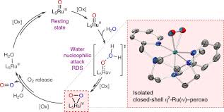 Check spelling or type a new query. Isolation Of A Ru Iv Side On Peroxo Intermediate In The Water Oxidation Reaction Nature Chemistry