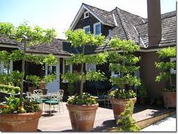 Pin On Gardens