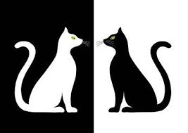 Due Silhouette Stilizzata Di Gatti In Bianco E Nero Bianco E Nero Tatuaggi Di Gatto Gatti
