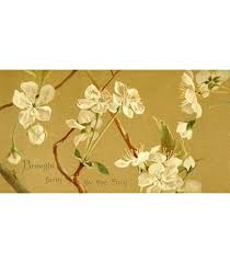 Image result for Crossandra greenstockii