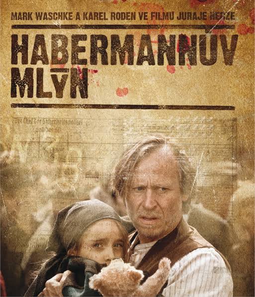 HABERMANN