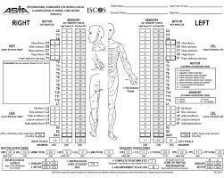 worksheet for an imaginary patient with a spinal cord injury