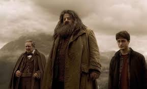 His father, james potter is a pure blood and interestingly descended from the. Harry Potter And The Half Blood Prince Review Cast And Crew Movie Star Rating And Where To Watch Film On Tv And Online
