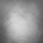 Amazon.com : BELECO 6x8FT Soft Fabric Gray Portrait Backdrop ...