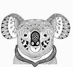 O dacht je soms dat panda s niet gekleurd hoeven te worden omdat ze toch. Kleurplaten Moeilijk Dieren