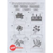 Check spelling or type a new query. Topbooks Toad Upin Ipin Latihan Modul Sains Tahun 3 Kssr Dlp Shopee Malaysia