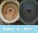 How to clean a nasty toilet