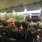 Lake Superior Harvest Festival