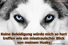 Husky Zitate Und Spruche Meinhusky De