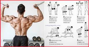 Best Workout Combination Back And Bicep Workout Compound Exercises