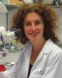 Honours, awards, appointments