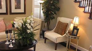 Watering Plants With Distilled Water Professor S House Water Plants Plant Wall Decor Indoor Plants Diy